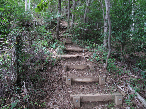 20171005hike (202)